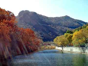 澳门天天好好免费资料，本地山羊养殖技术